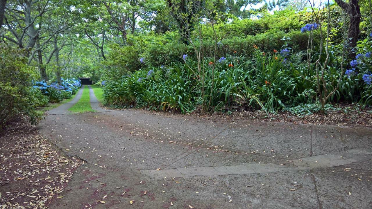 Azores Protea House Daire Lagoa  Dış mekan fotoğraf